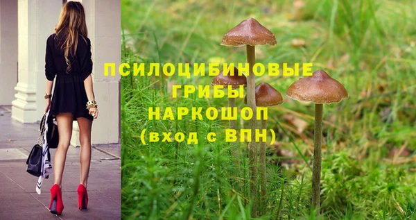 шишки Кулебаки