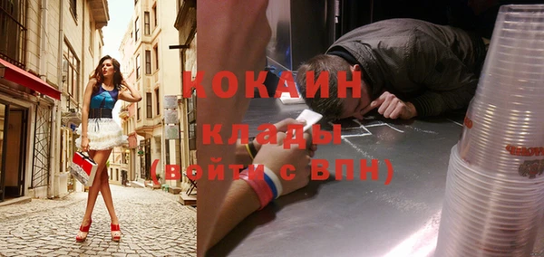 шишки Кулебаки
